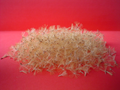 Sementinhas