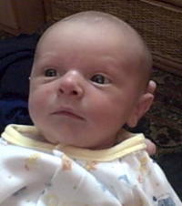 lucascropped